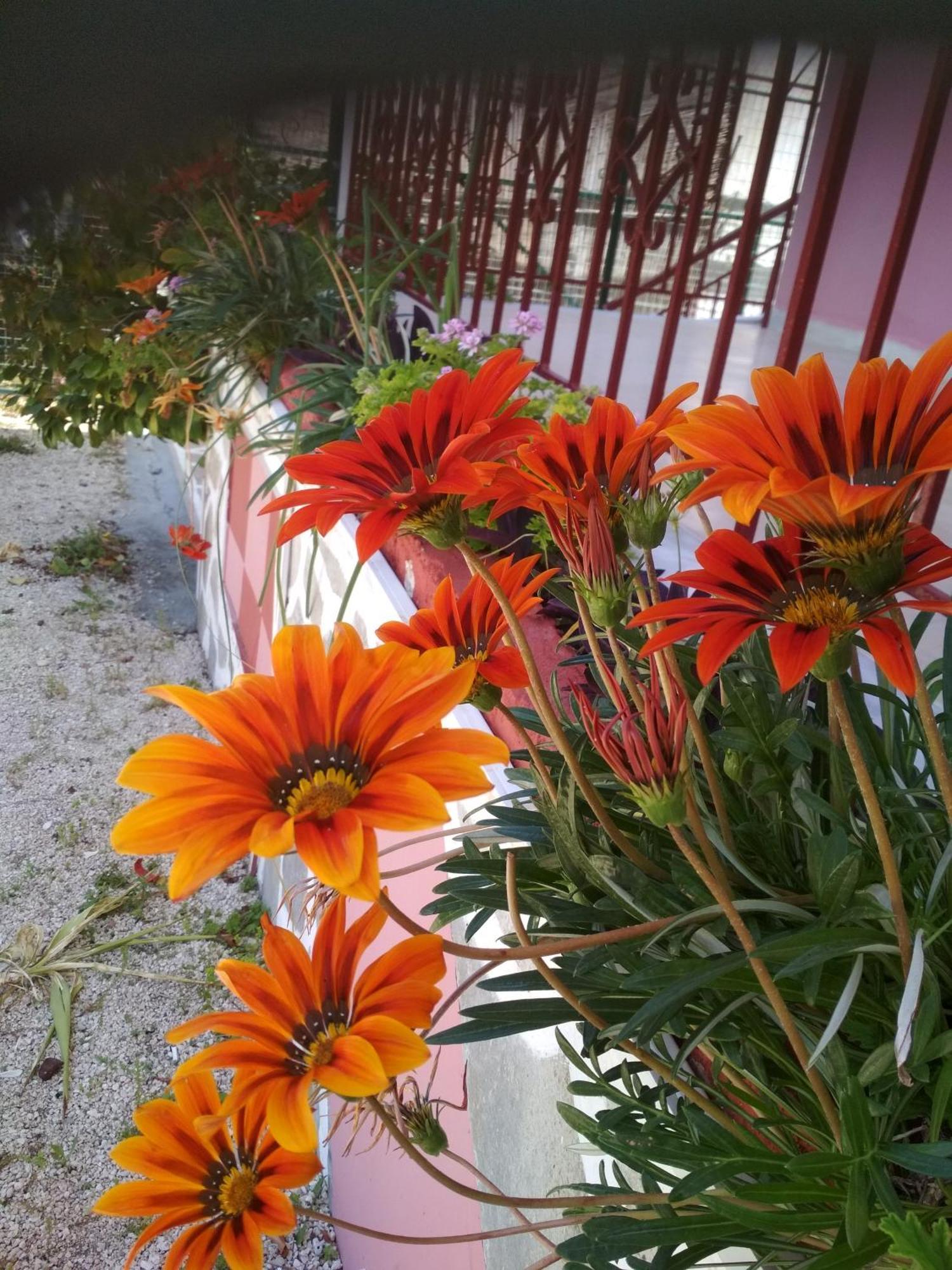 Perivólion Tasia Studios מראה חיצוני תמונה