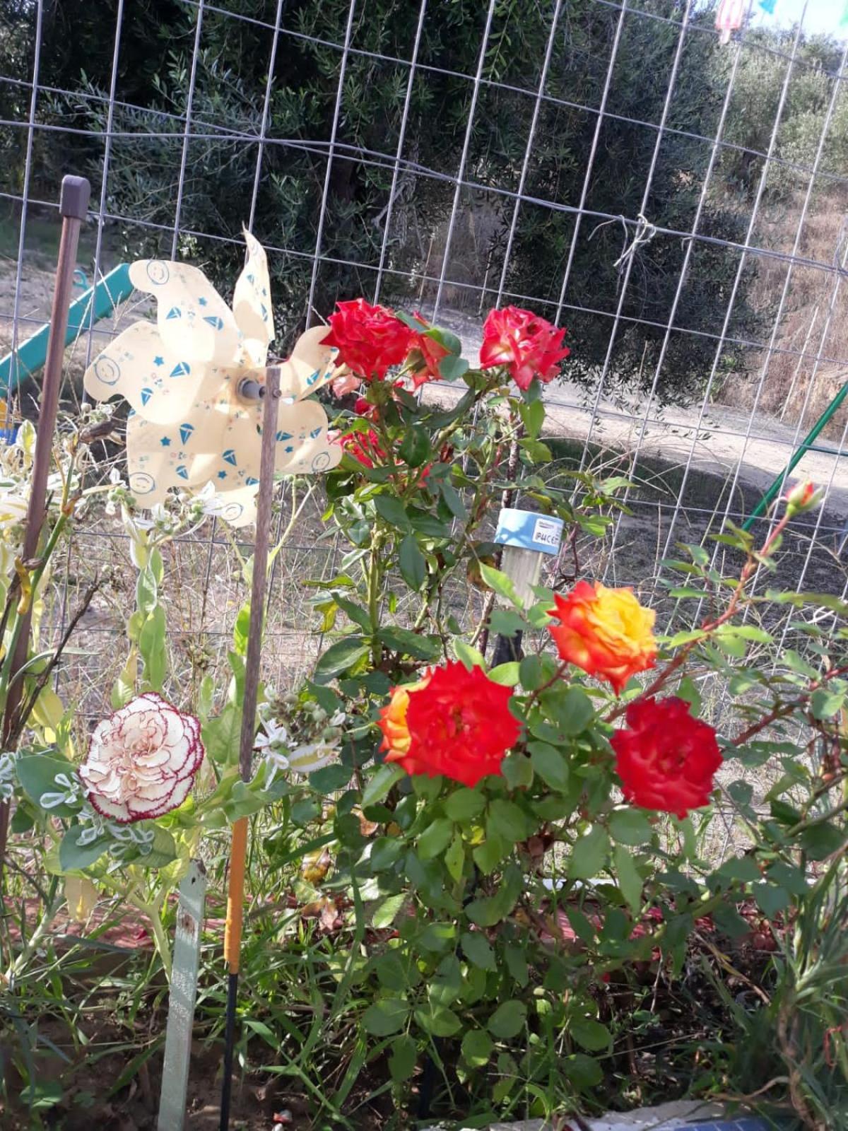 Perivólion Tasia Studios מראה חיצוני תמונה