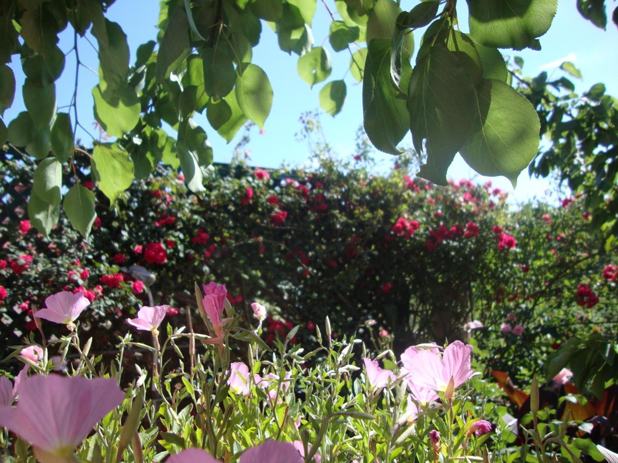 Perivólion Tasia Studios מראה חיצוני תמונה