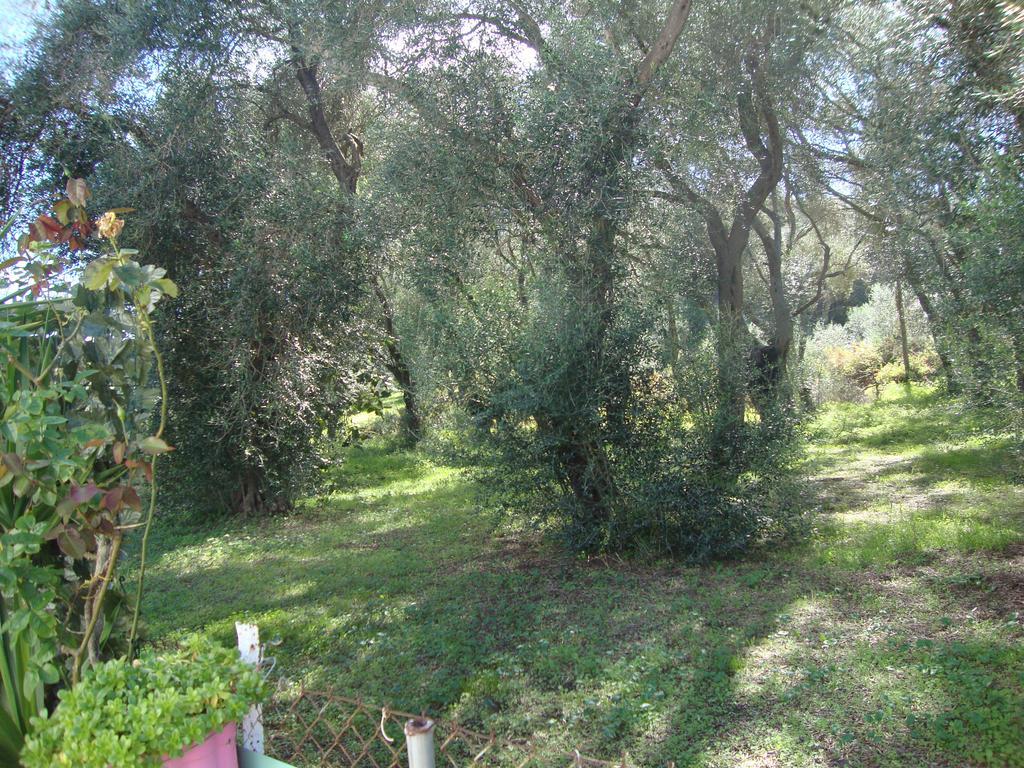 Perivólion Tasia Studios מראה חיצוני תמונה