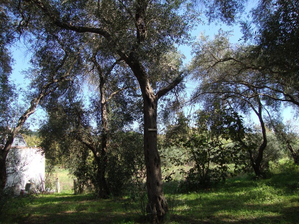Perivólion Tasia Studios מראה חיצוני תמונה